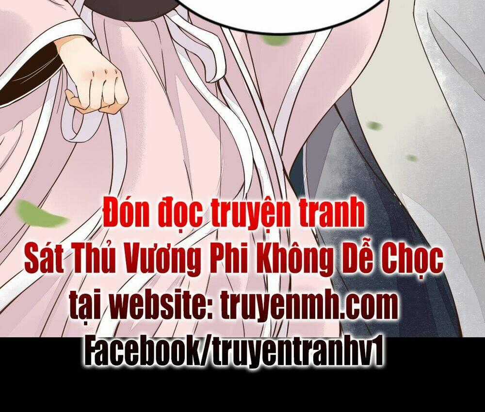 Sát Thủ Vương Phi Không Dễ Chọc Chapter 1 trang 24