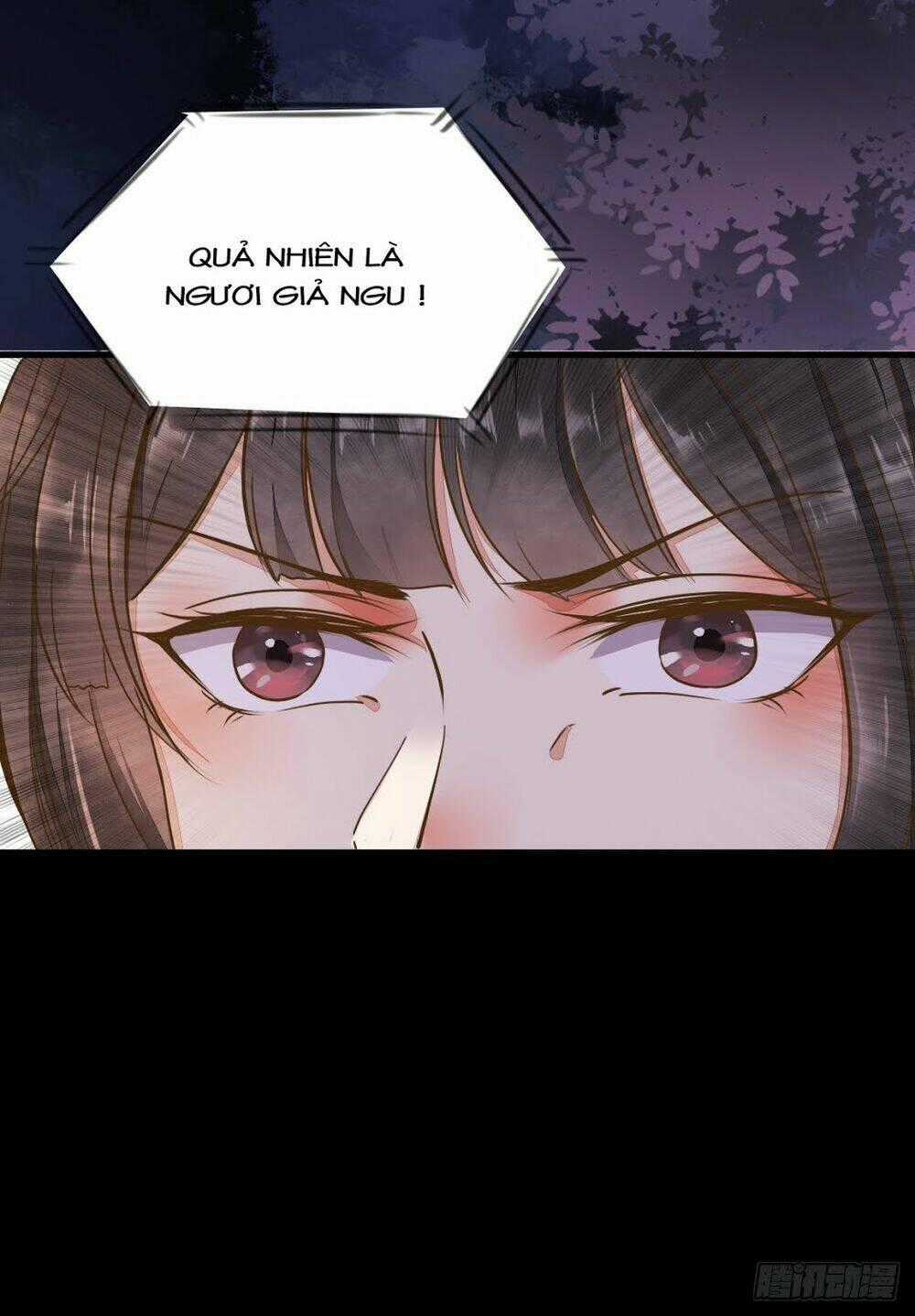 Sát Thủ Vương Phi Không Dễ Chọc Chapter 11 trang 17