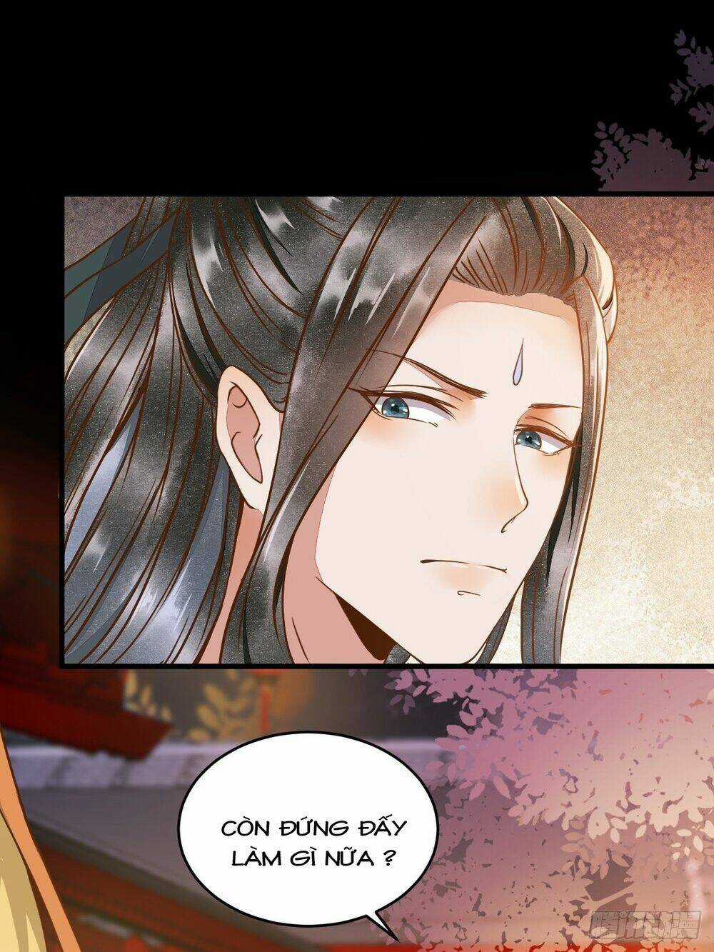 Sát Thủ Vương Phi Không Dễ Chọc Chapter 12.5 trang 4