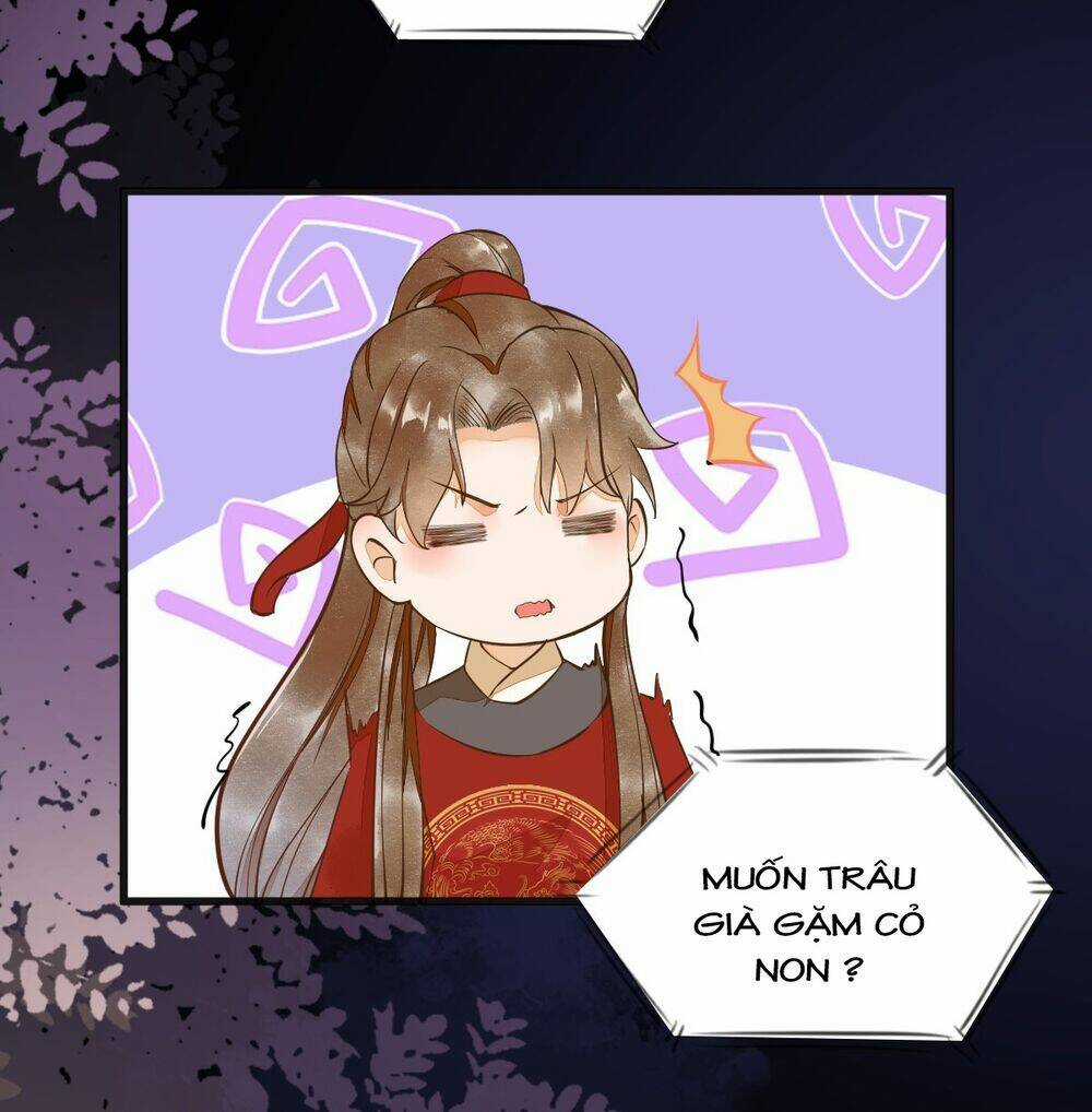 Sát Thủ Vương Phi Không Dễ Chọc Chapter 12 trang 6