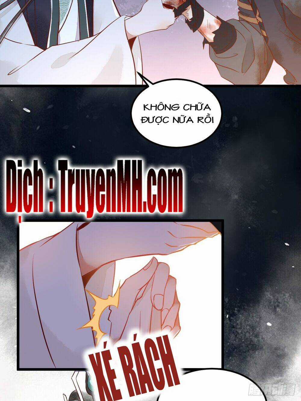 Sát Thủ Vương Phi Không Dễ Chọc Chapter 17.5 trang 12