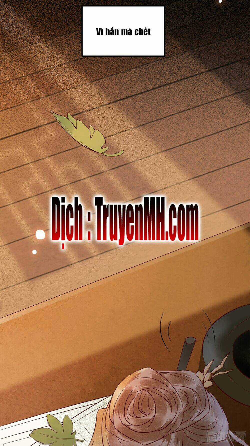 Sát Thủ Vương Phi Không Dễ Chọc Chapter 17.5 trang 24