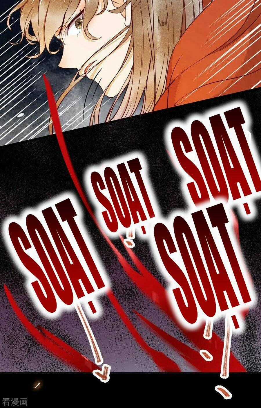 Sát Thủ Vương Phi Không Dễ Chọc Chapter 18.4 trang 19