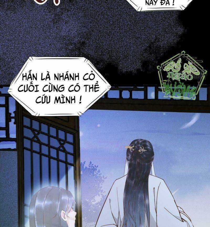 Sát Thủ Vương Phi Không Dễ Chọc Chapter 19 trang 43