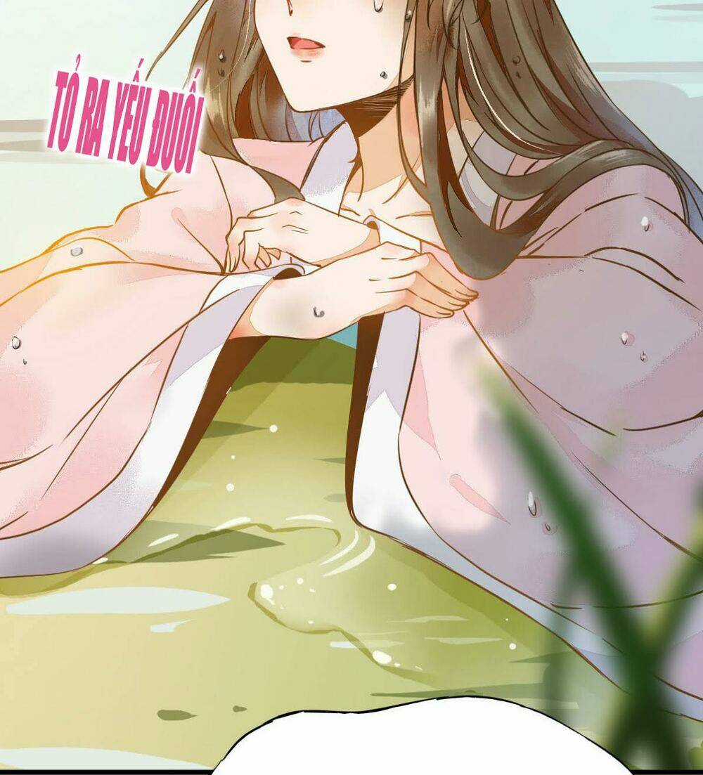 Sát Thủ Vương Phi Không Dễ Chọc Chapter 2 trang 11