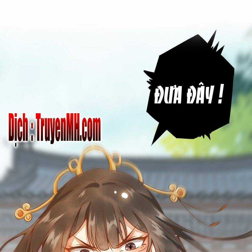 Sát Thủ Vương Phi Không Dễ Chọc Chapter 2 trang 13