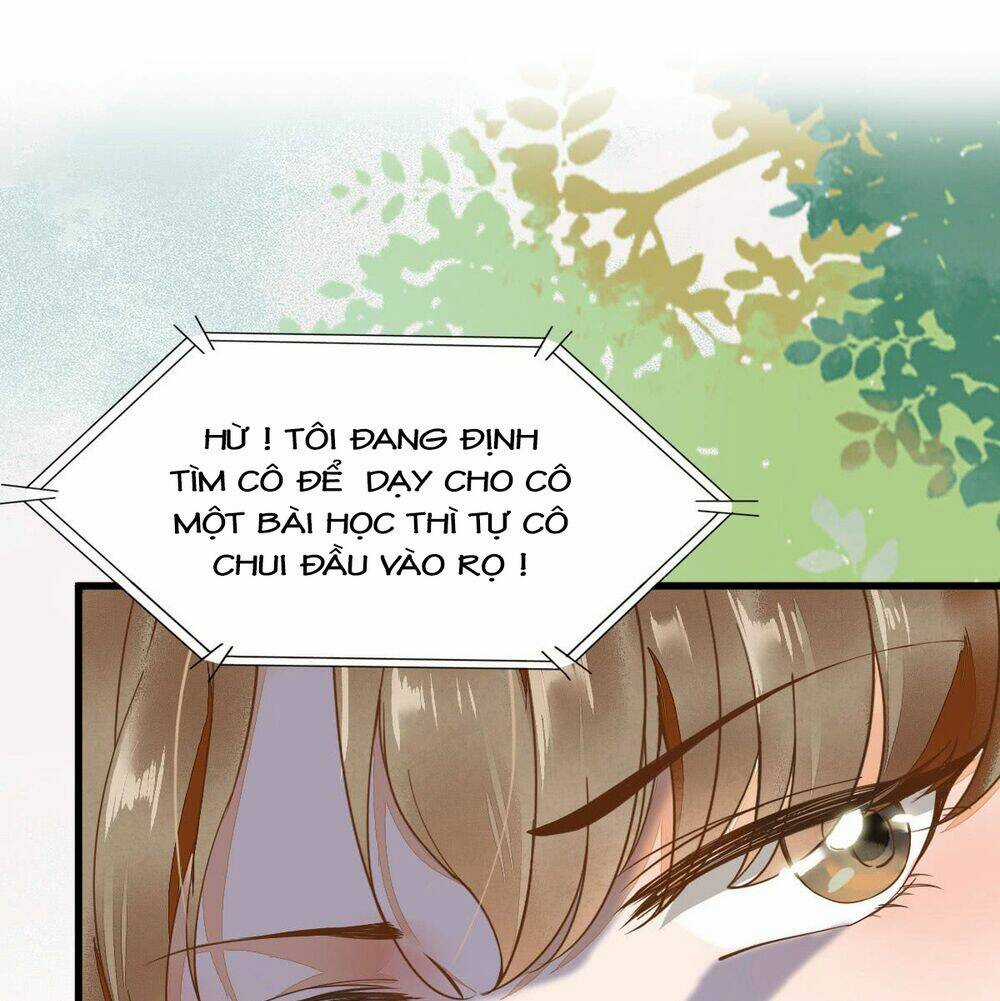 Sát Thủ Vương Phi Không Dễ Chọc Chapter 2 trang 4