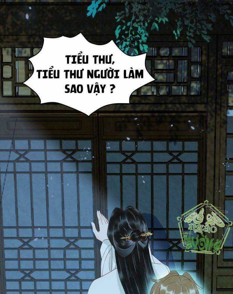 Sát Thủ Vương Phi Không Dễ Chọc Chapter 20 trang 22