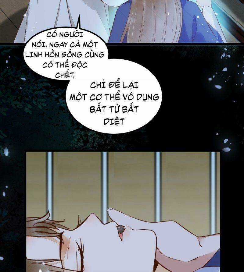 Sát Thủ Vương Phi Không Dễ Chọc Chapter 20 trang 30