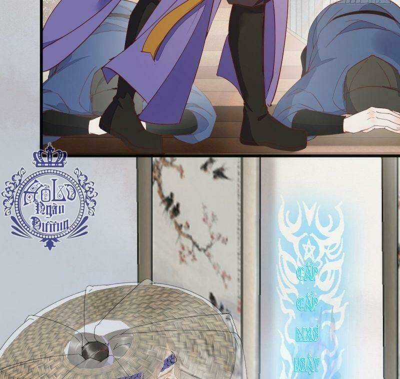 Sát Thủ Vương Phi Không Dễ Chọc Chapter 24 trang 42