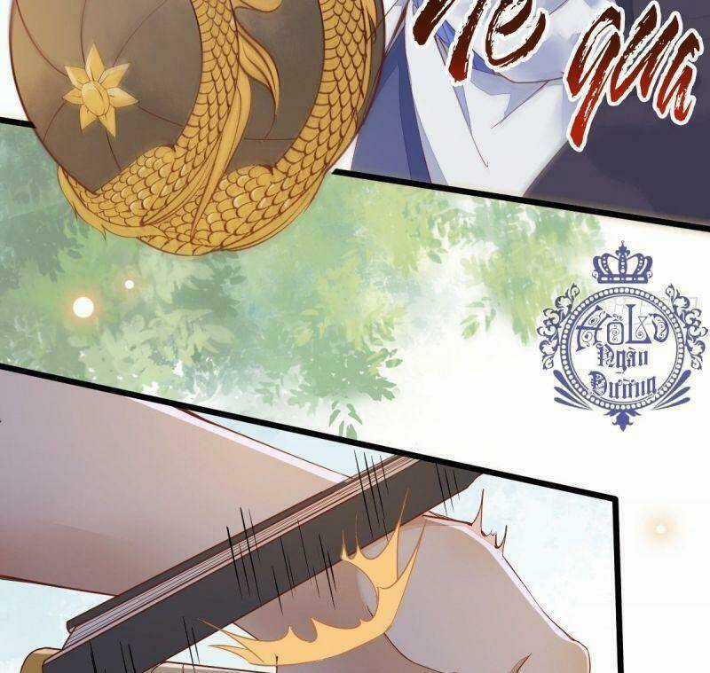 Sát Thủ Vương Phi Không Dễ Chọc Chapter 24 trang 7