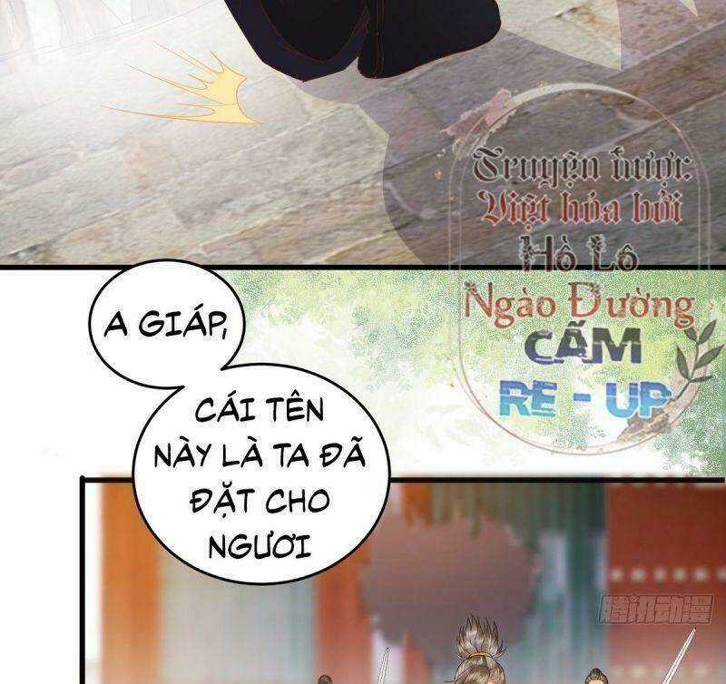 Sát Thủ Vương Phi Không Dễ Chọc Chapter 25 trang 11