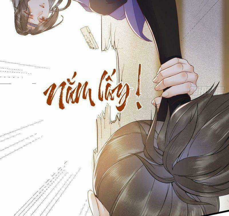 Sát Thủ Vương Phi Không Dễ Chọc Chapter 25 trang 5