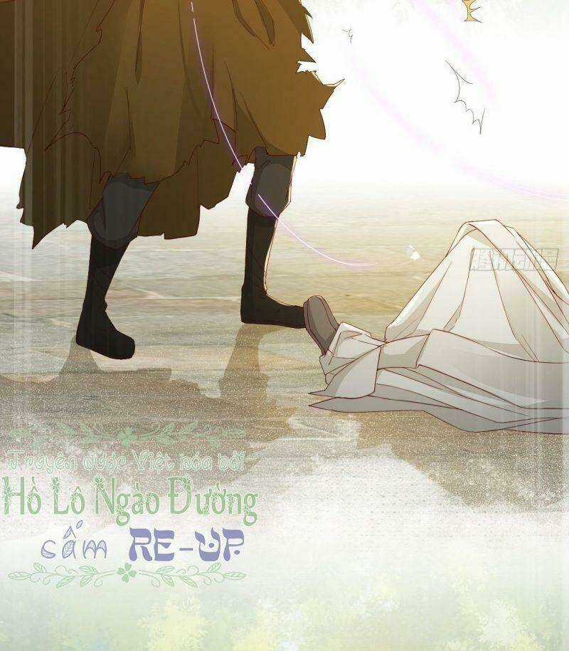 Sát Thủ Vương Phi Không Dễ Chọc Chapter 27 trang 12