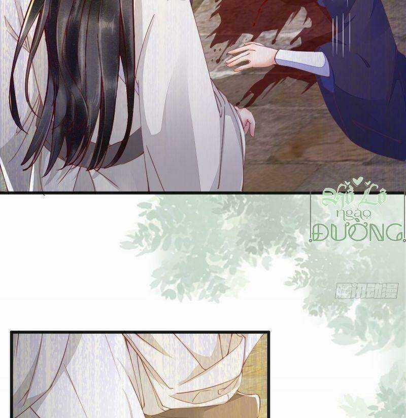 Sát Thủ Vương Phi Không Dễ Chọc Chapter 27 trang 31