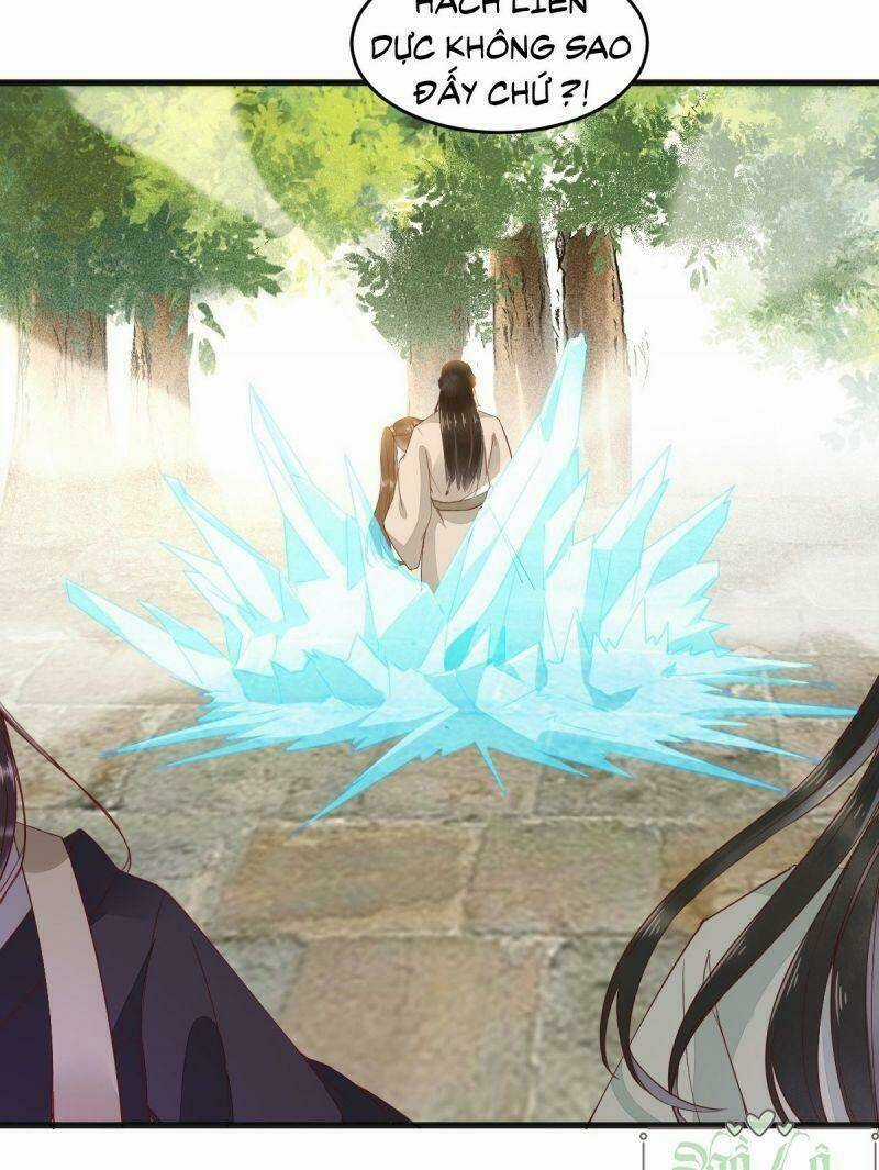 Sát Thủ Vương Phi Không Dễ Chọc Chapter 29 trang 30