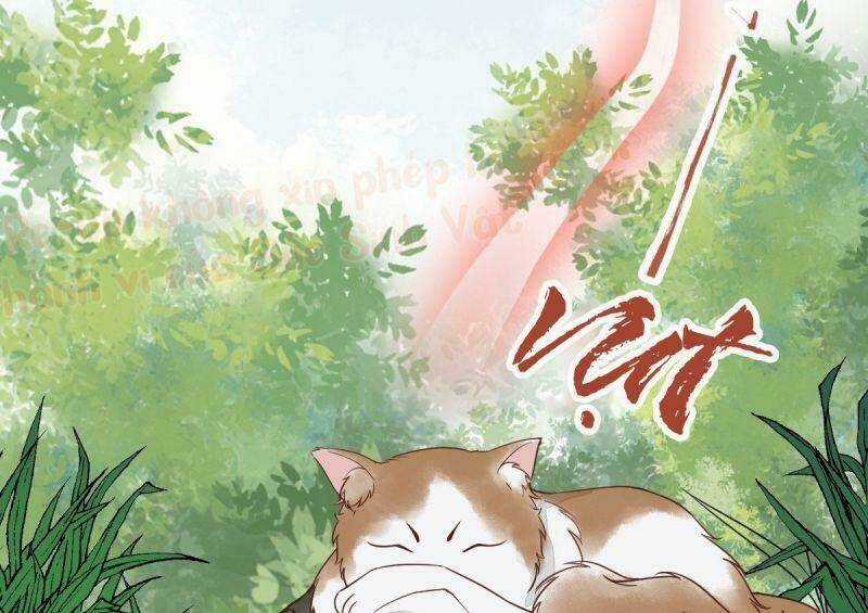 Sát Thủ Vương Phi Không Dễ Chọc Chapter 29 trang 56