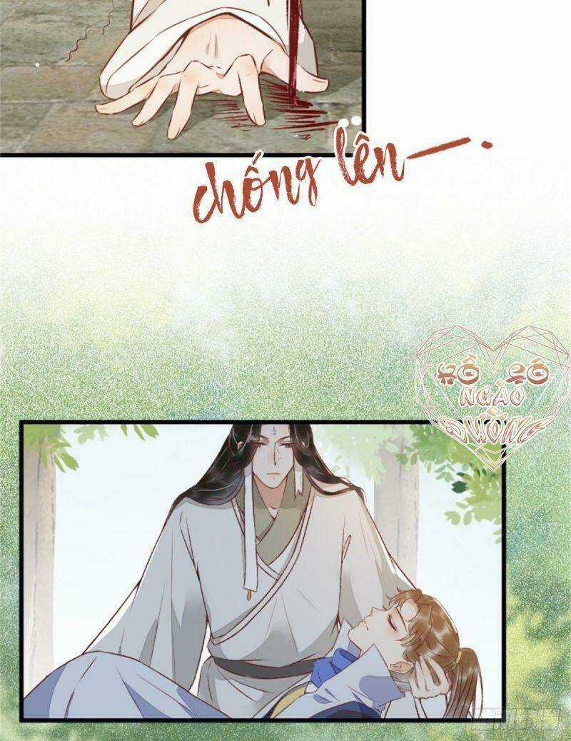 Sát Thủ Vương Phi Không Dễ Chọc Chapter 30 trang 14