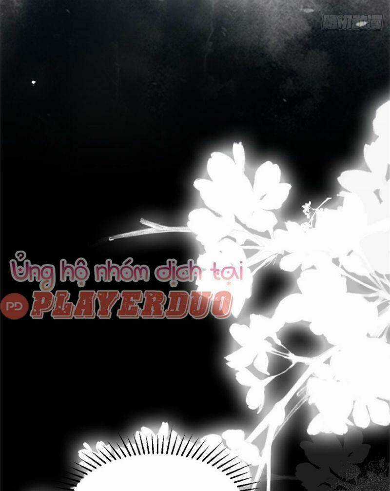 Sát Thủ Vương Phi Không Dễ Chọc Chapter 30 trang 20