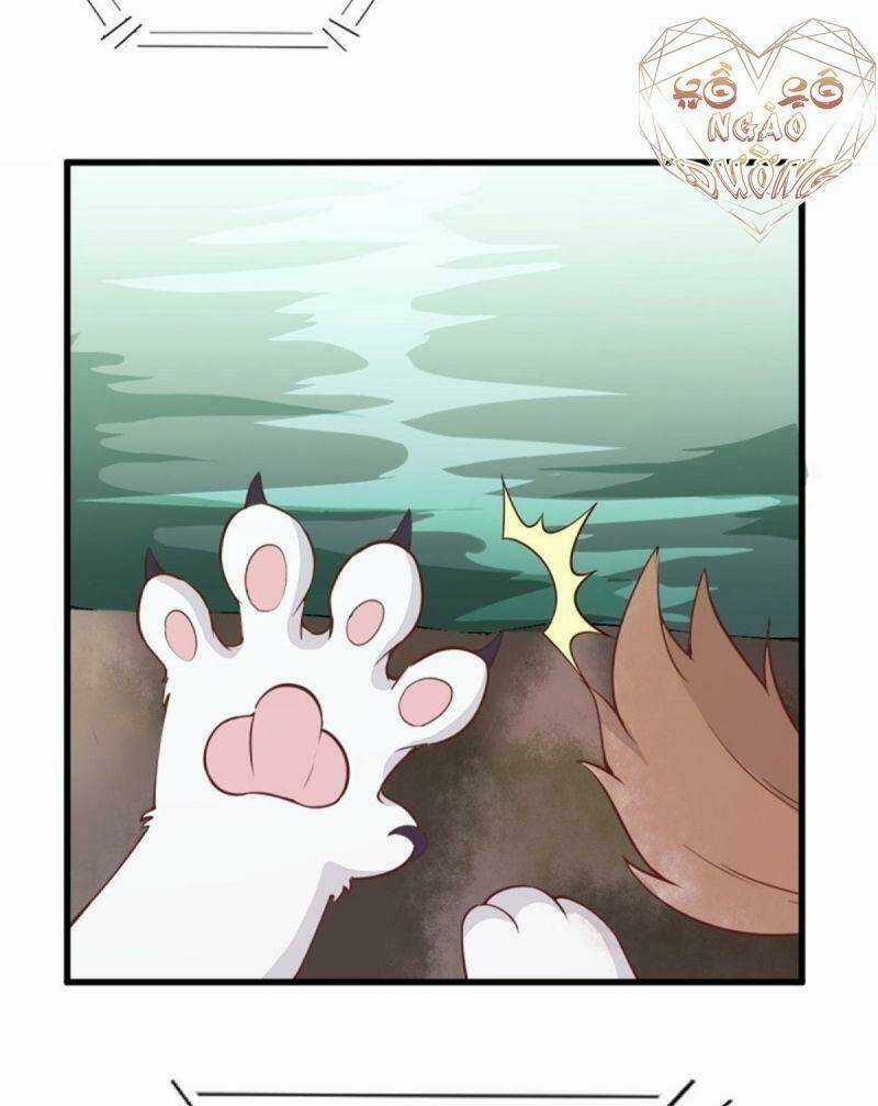 Sát Thủ Vương Phi Không Dễ Chọc Chapter 30 trang 26