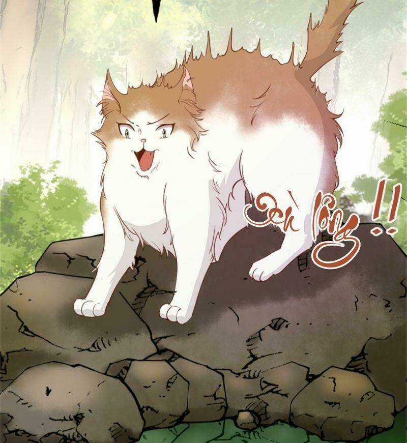 Sát Thủ Vương Phi Không Dễ Chọc Chapter 30 trang 30