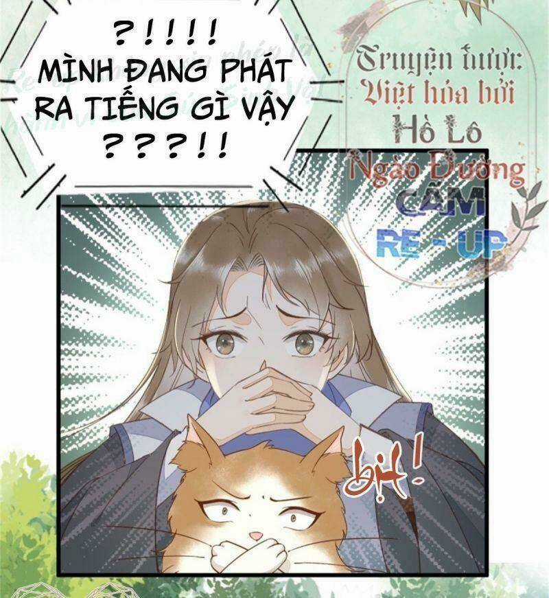 Sát Thủ Vương Phi Không Dễ Chọc Chapter 30 trang 32