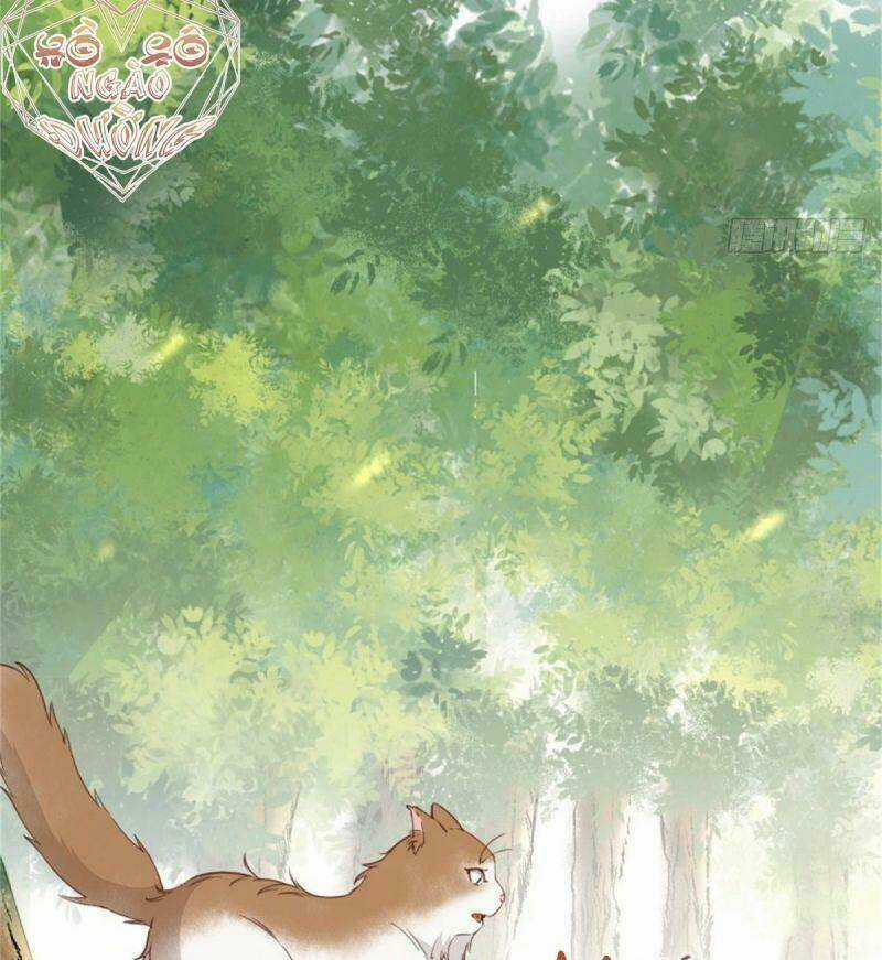 Sát Thủ Vương Phi Không Dễ Chọc Chapter 30 trang 33