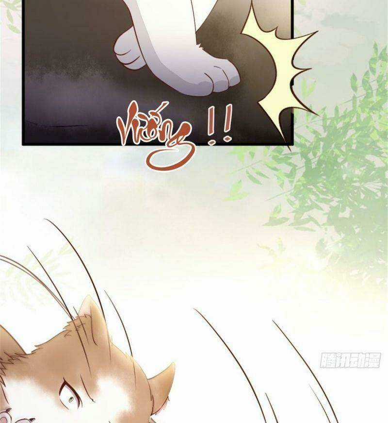 Sát Thủ Vương Phi Không Dễ Chọc Chapter 30 trang 35