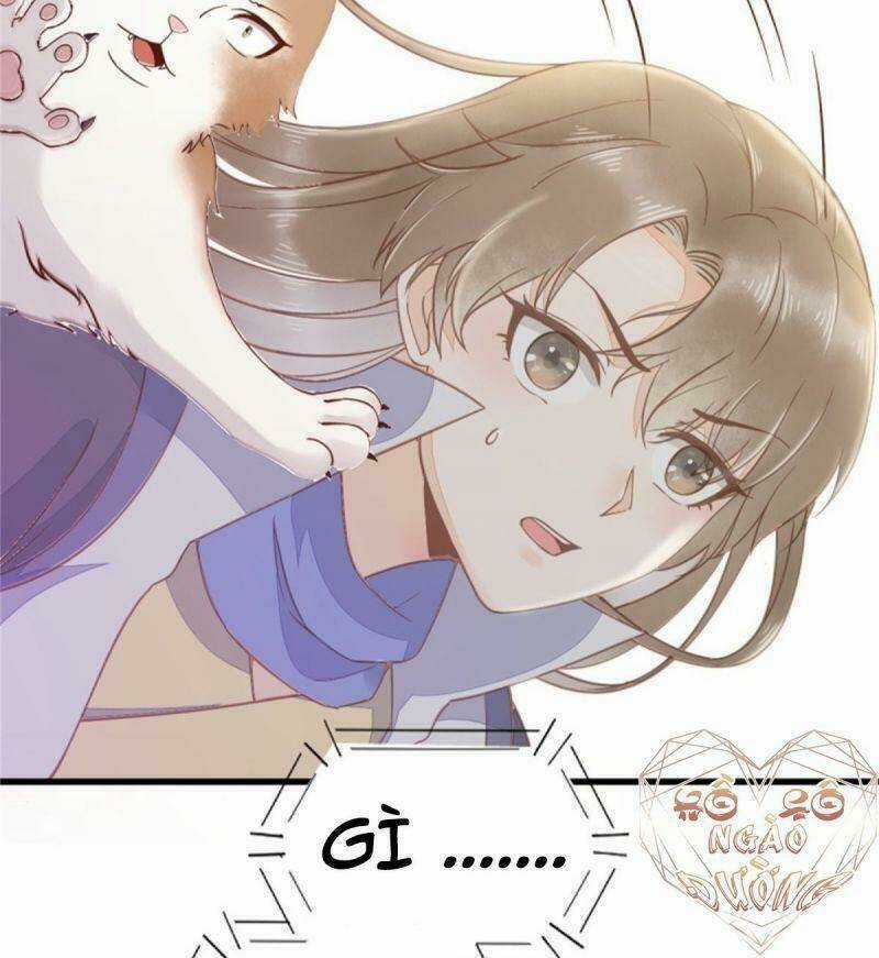 Sát Thủ Vương Phi Không Dễ Chọc Chapter 30 trang 36