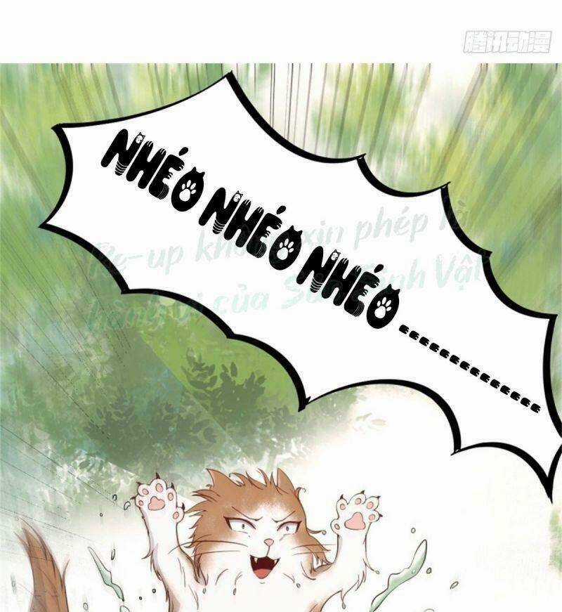 Sát Thủ Vương Phi Không Dễ Chọc Chapter 30 trang 40