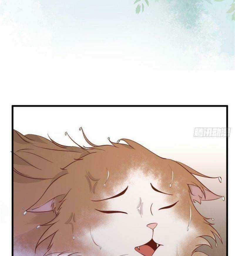 Sát Thủ Vương Phi Không Dễ Chọc Chapter 30 trang 42