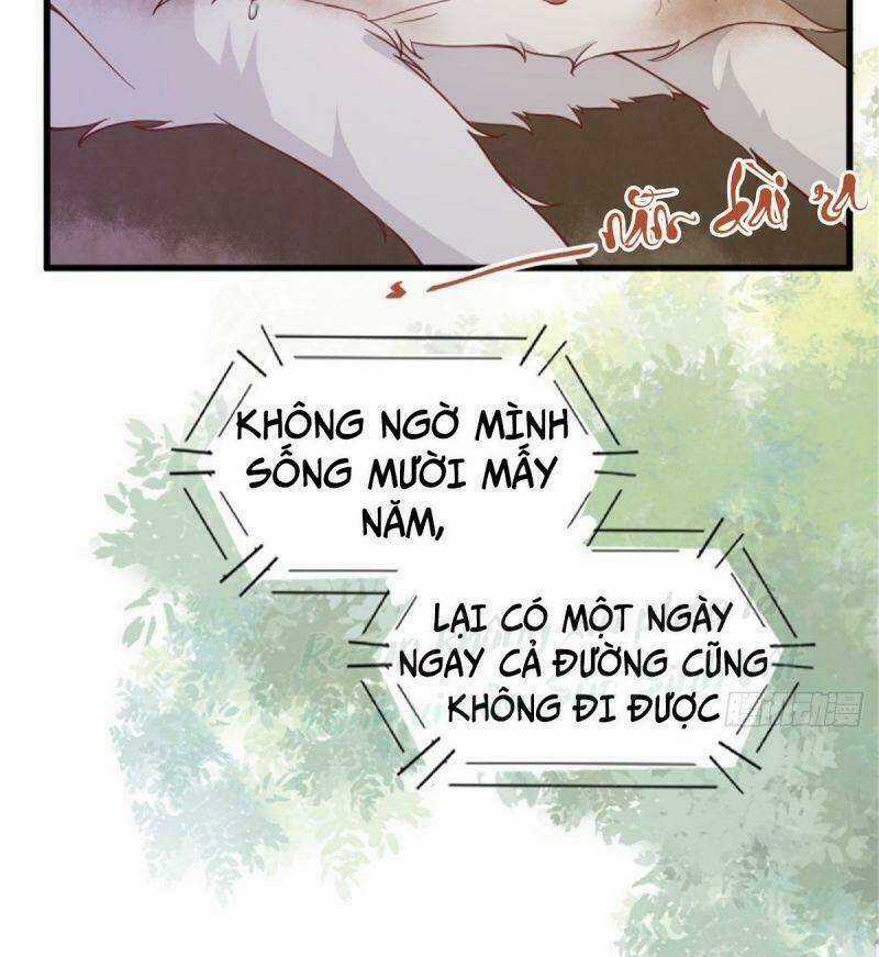 Sát Thủ Vương Phi Không Dễ Chọc Chapter 30 trang 43