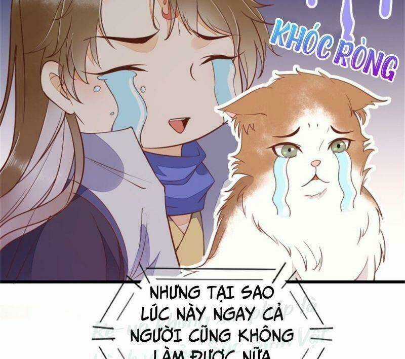 Sát Thủ Vương Phi Không Dễ Chọc Chapter 30 trang 47