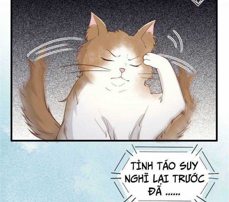 Sát Thủ Vương Phi Không Dễ Chọc Chapter 30 trang 49