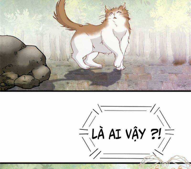 Sát Thủ Vương Phi Không Dễ Chọc Chapter 30 trang 57