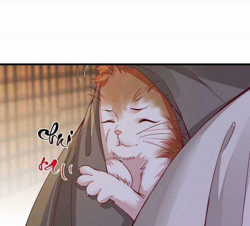 Sát Thủ Vương Phi Không Dễ Chọc Chapter 31 trang 15