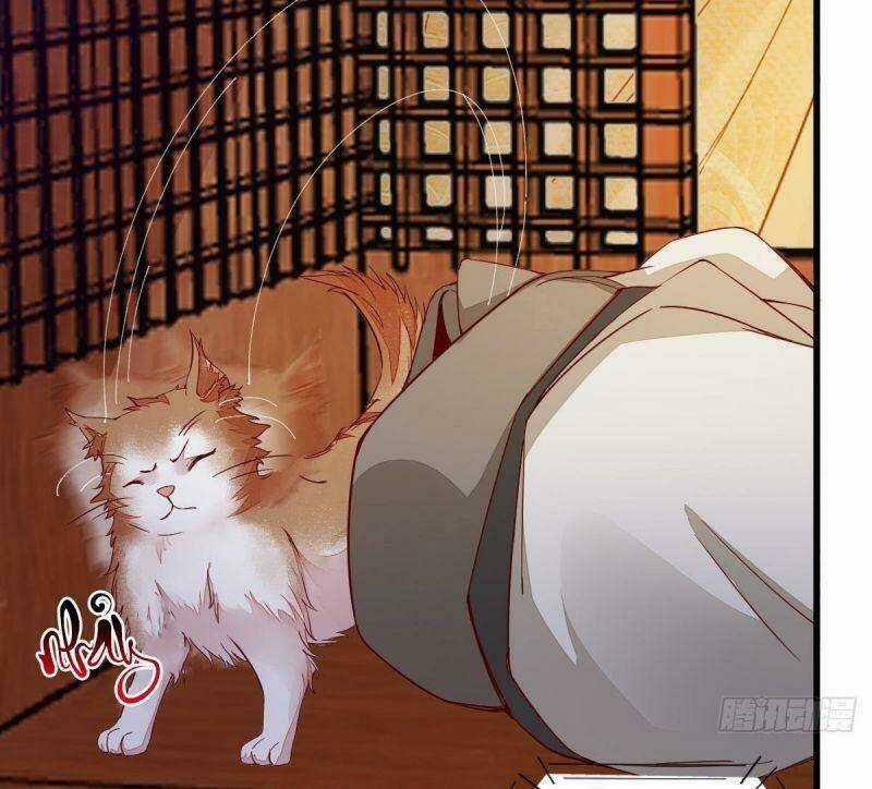 Sát Thủ Vương Phi Không Dễ Chọc Chapter 31 trang 17