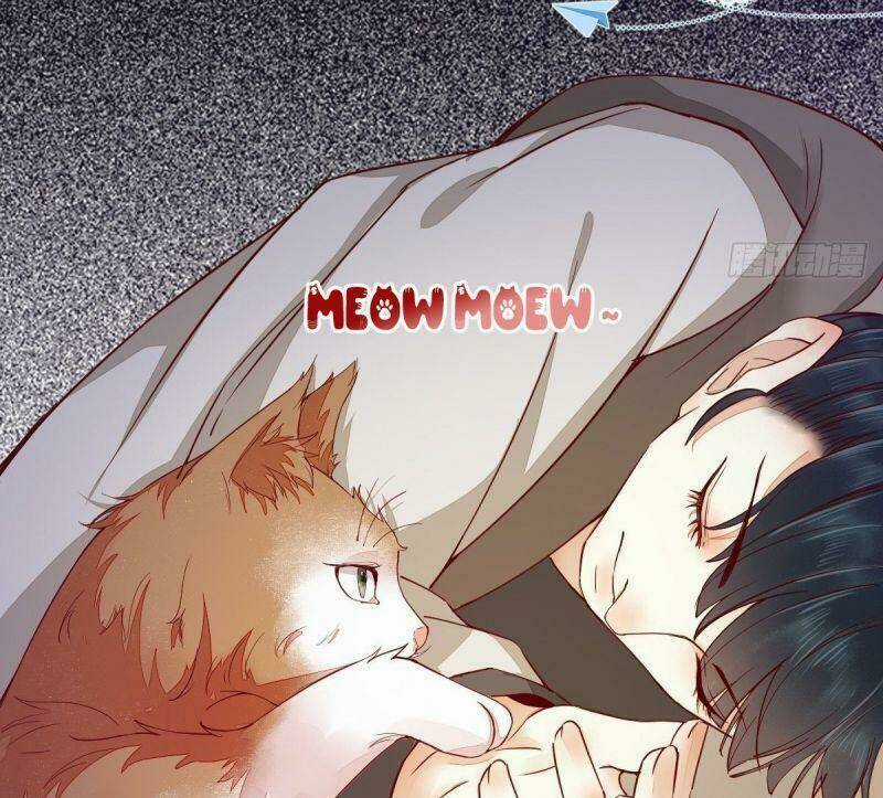 Sát Thủ Vương Phi Không Dễ Chọc Chapter 31 trang 22