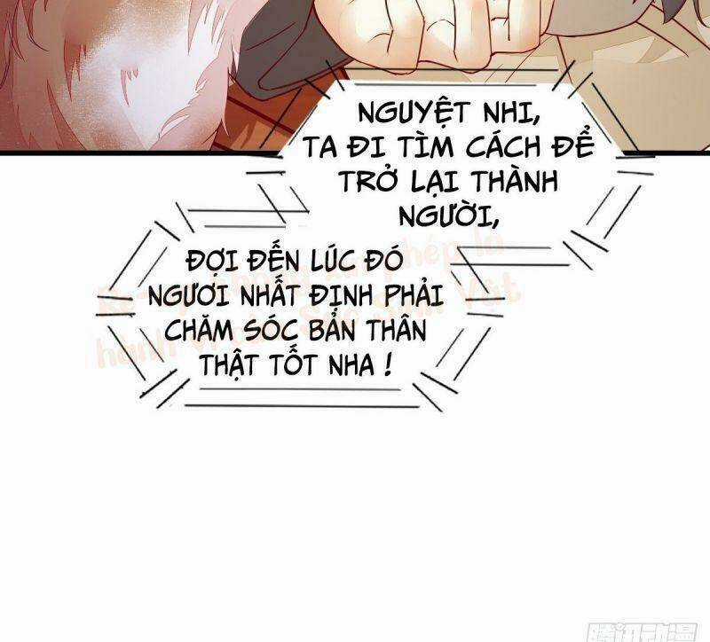 Sát Thủ Vương Phi Không Dễ Chọc Chapter 31 trang 23