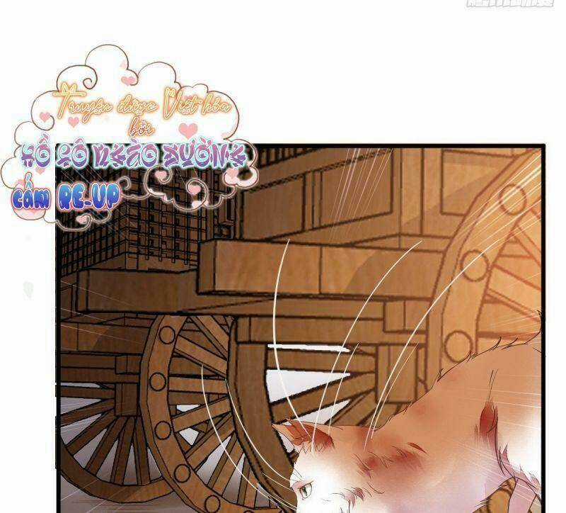 Sát Thủ Vương Phi Không Dễ Chọc Chapter 31 trang 24