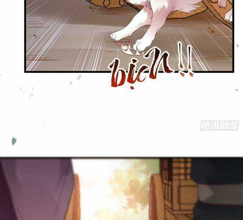 Sát Thủ Vương Phi Không Dễ Chọc Chapter 31 trang 25