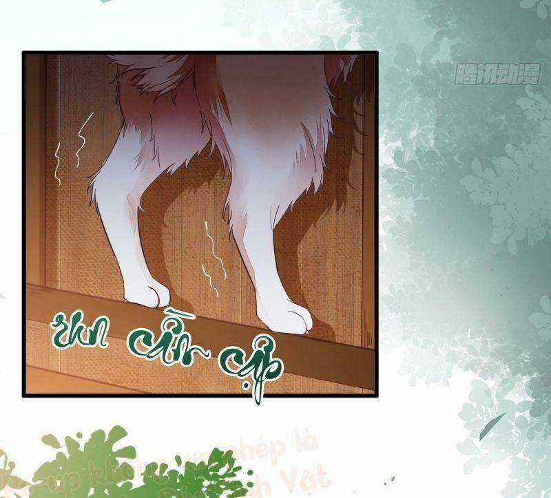 Sát Thủ Vương Phi Không Dễ Chọc Chapter 31 trang 27