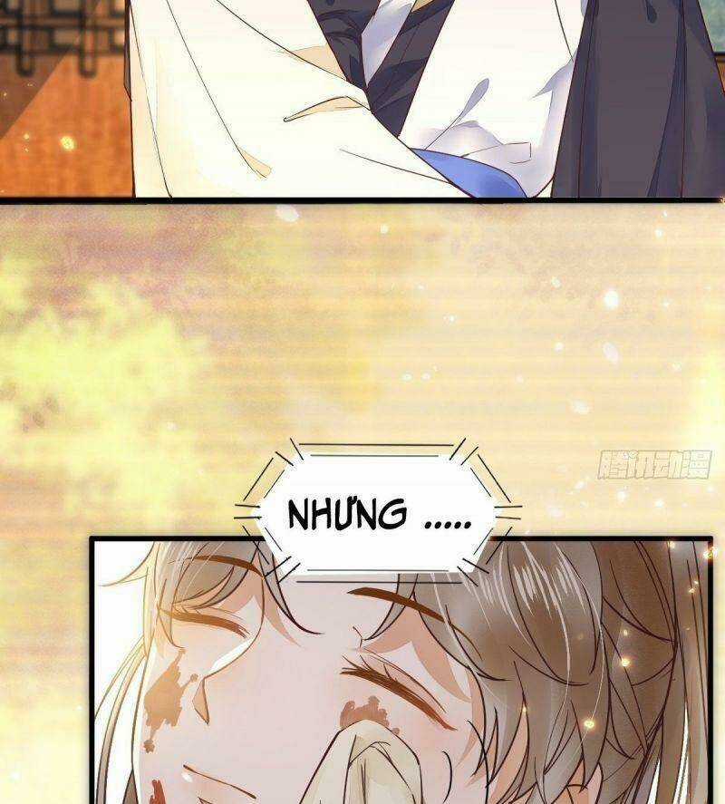 Sát Thủ Vương Phi Không Dễ Chọc Chapter 31 trang 31