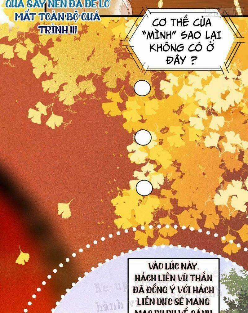 Sát Thủ Vương Phi Không Dễ Chọc Chapter 32 trang 12