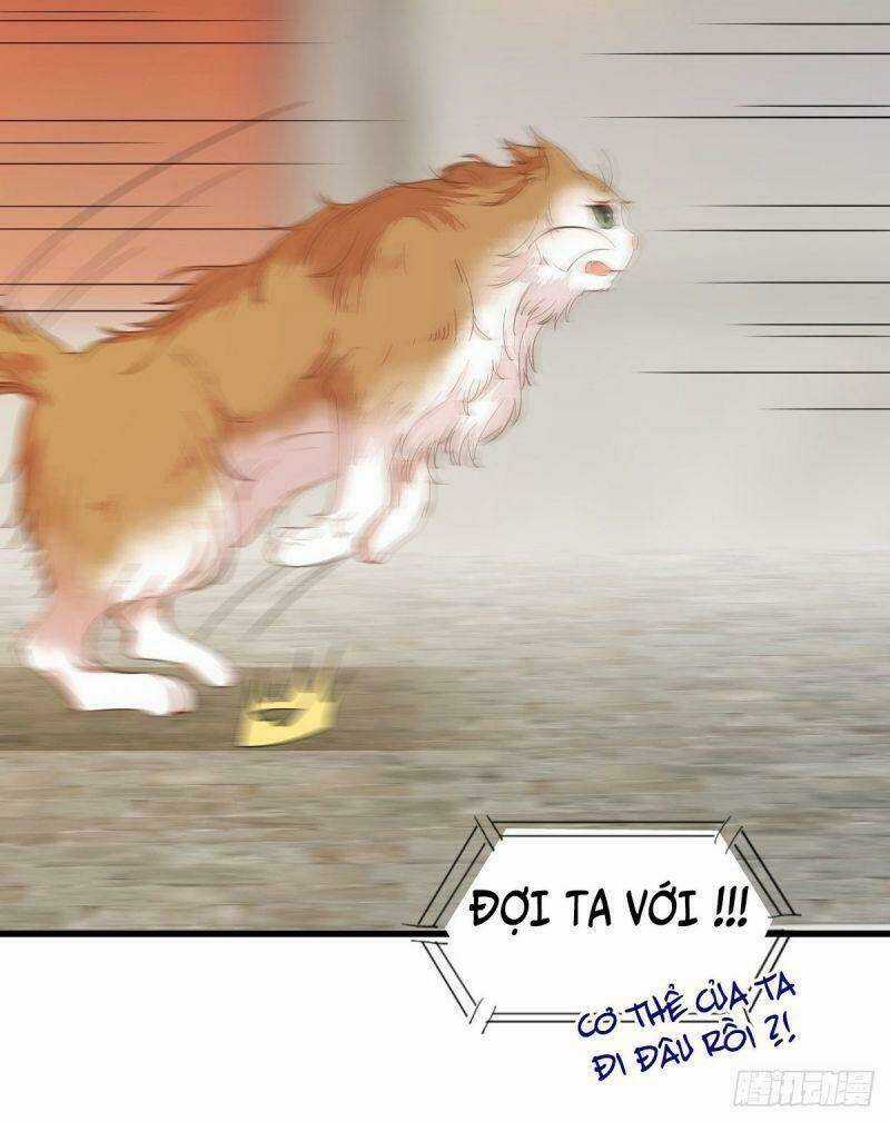 Sát Thủ Vương Phi Không Dễ Chọc Chapter 32 trang 14