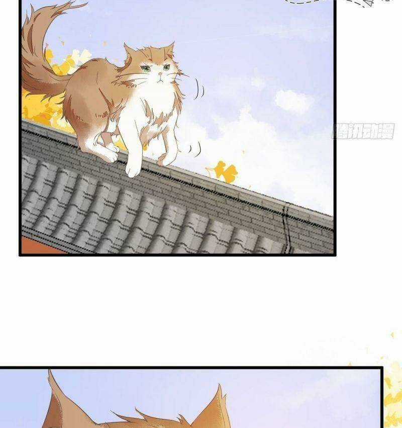 Sát Thủ Vương Phi Không Dễ Chọc Chapter 32 trang 16