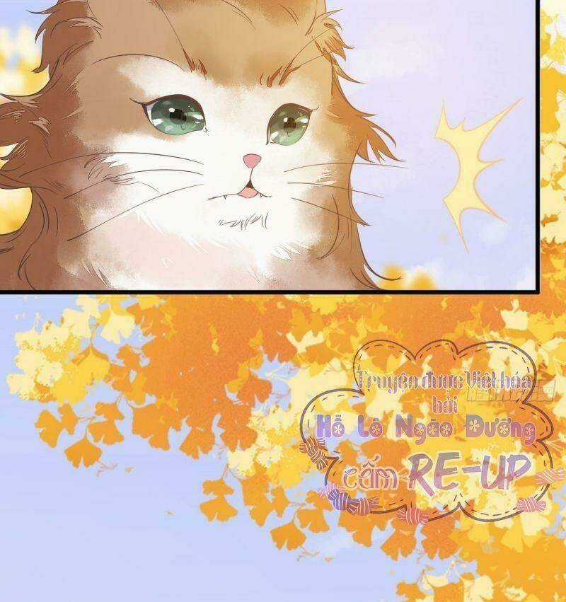 Sát Thủ Vương Phi Không Dễ Chọc Chapter 32 trang 17