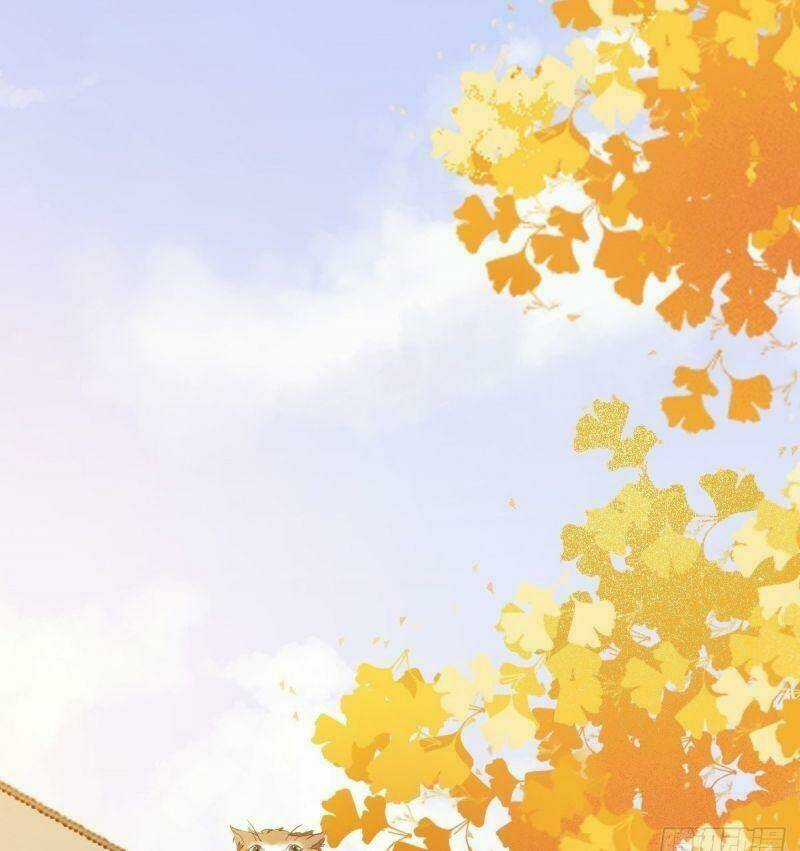 Sát Thủ Vương Phi Không Dễ Chọc Chapter 32 trang 18