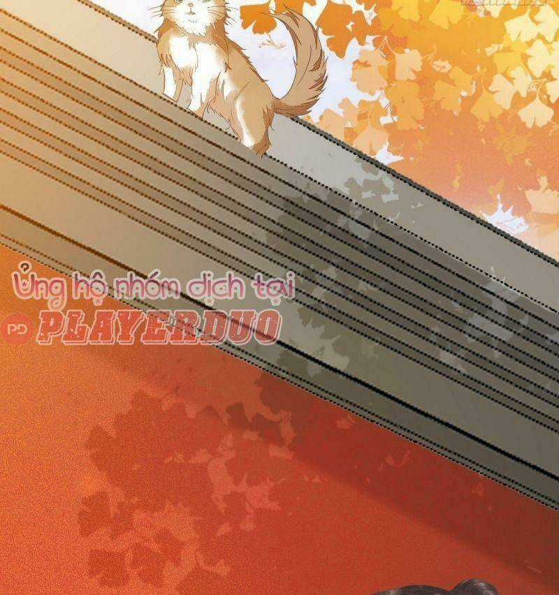 Sát Thủ Vương Phi Không Dễ Chọc Chapter 32 trang 19