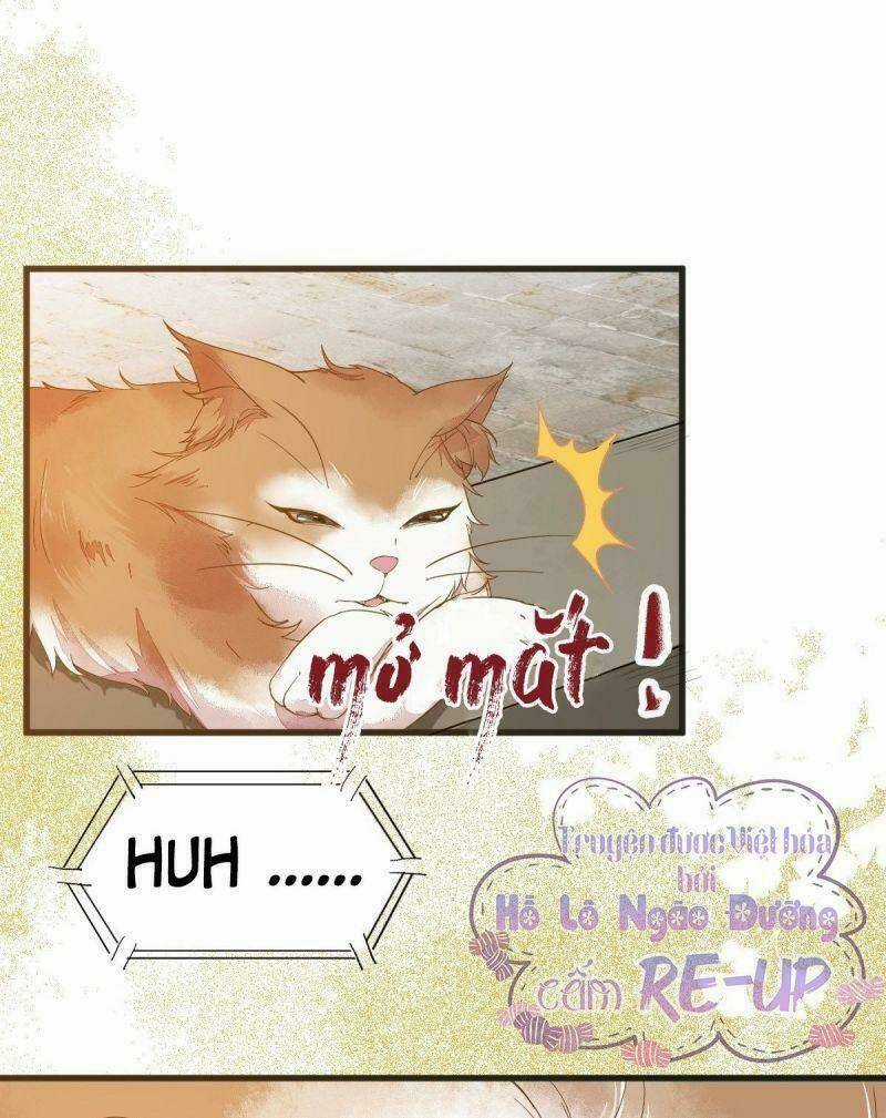 Sát Thủ Vương Phi Không Dễ Chọc Chapter 32 trang 2